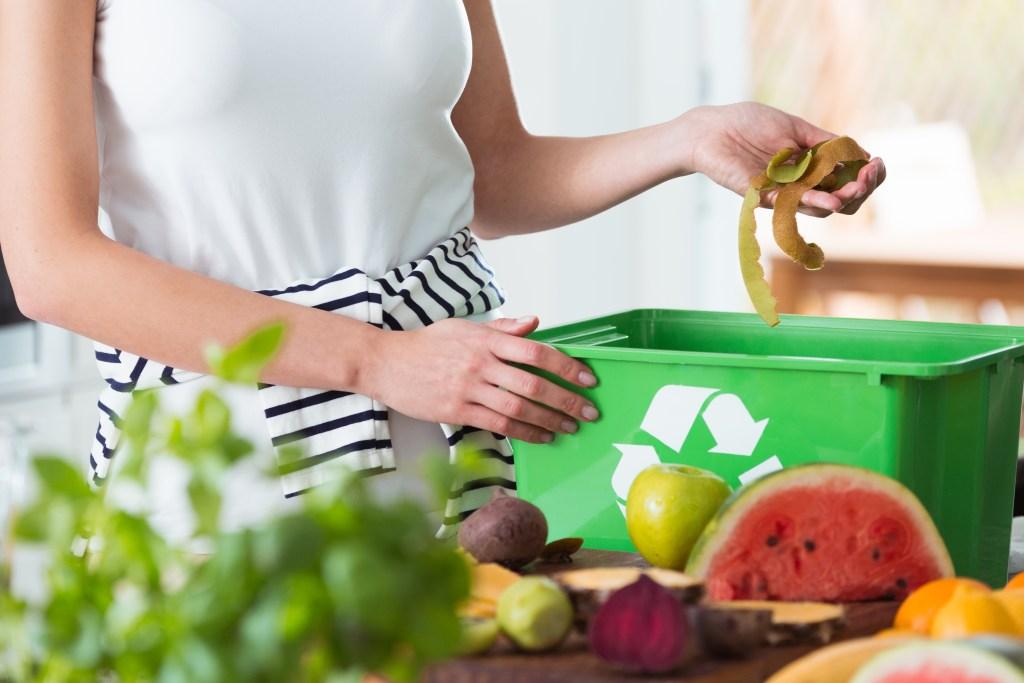 Compost Kitchen Waste Management
